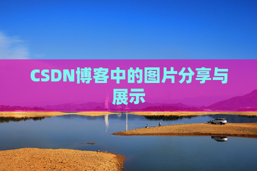 CSDN博客中的图片分享与展示